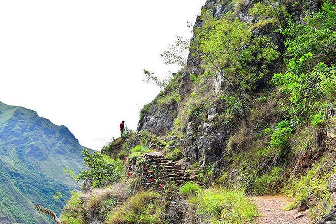 07 Day: Inca Jungle Adventure with Mountain Bike, Rafting, Zipline & Trek - Day 5: Walk through the Aobamba Valley to Aguas Calientes