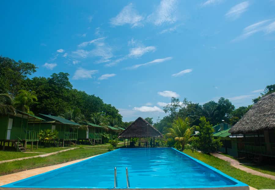 2-Day All Inclusive Guided Jungle Tour from Iquitos - Five things to know before you go