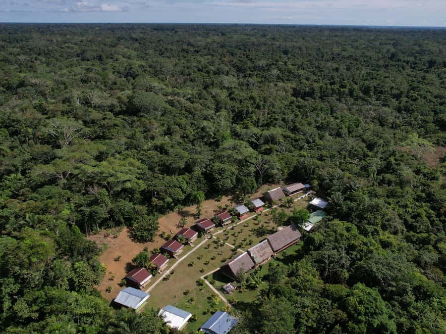 2-Day All Inclusive Guided Jungle Tour from Iquitos - Lunch, piranha fishing, and Amazon water time