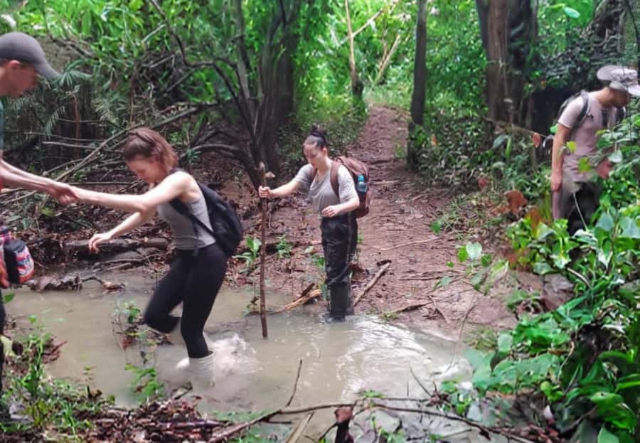 2-Day All Inclusive Guided Jungle Tour from Iquitos - Sunrise, birds, plants, and the second jungle walk