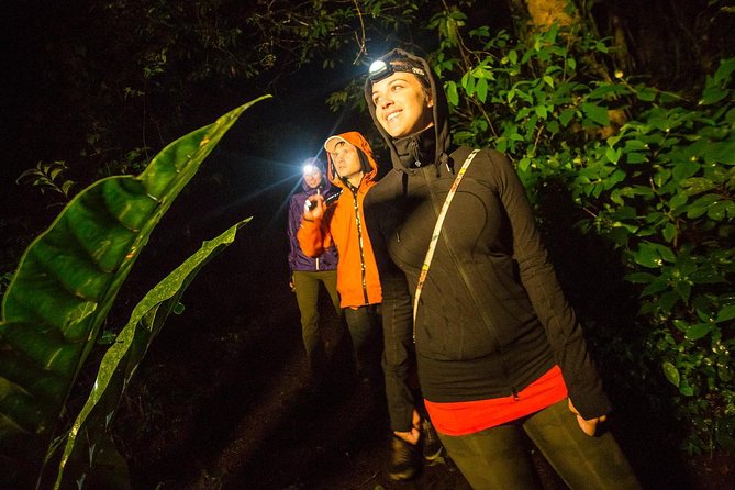 2-Day All Inclusive Guided Jungle Tour from Iquitos at Maniti Eco-Lodge - Sunrise, ceiba trees, and the second morning