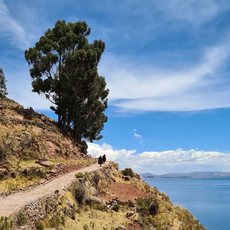 2-Day Amantani Island homestay overnight Tour from Puno - The long return to Puno