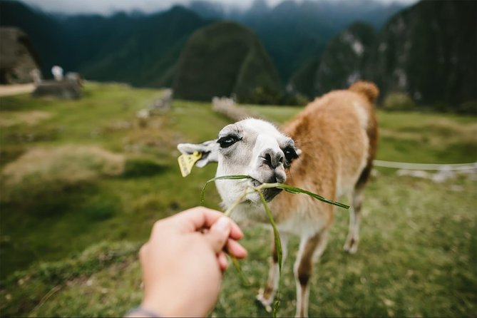 2-Day Short Inca Trail to Machu Picchu - Day two: walking up to Machu Picchu