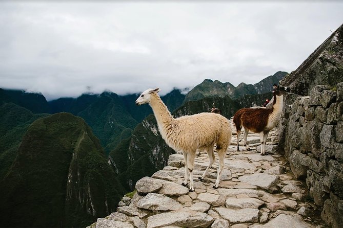 2-Day Short Inca Trail to Machu Picchu - How the transportation fits together
