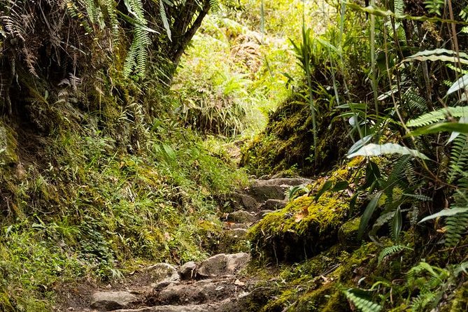 2 Day - Short Inca Trail to Machu Picchu - Group Service - Returning to Cusco by train and bus