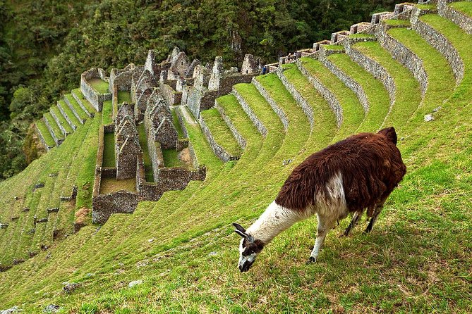 2 Day - Short Inca trail to Machu Picchu - Private Services - The Sun Gate and the first view of Machu Picchu