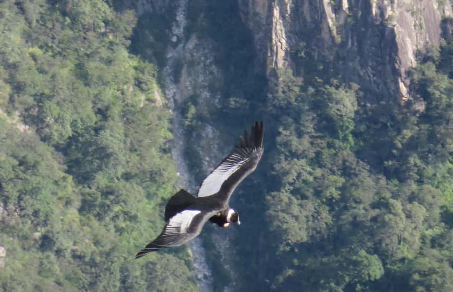 2-Day Tour Colca Canyon in Arequipa with end in Puno - Chivay: your base for the first night