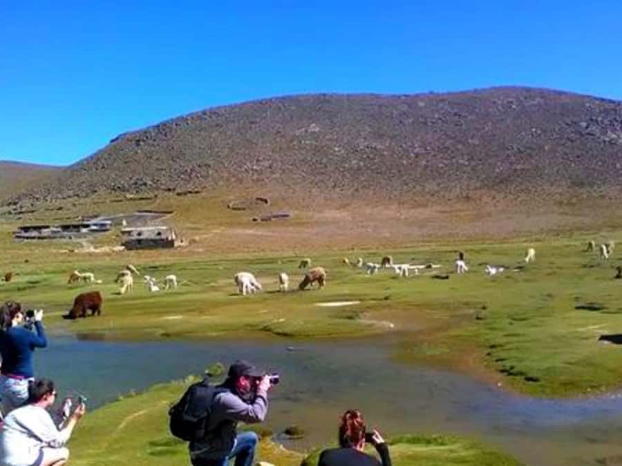 2-Day Tour Colca Canyon in Arequipa with end in Puno - Cruz del Cóndor and the morning flight