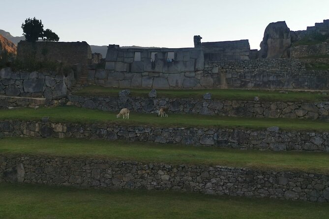 2-Day Tour in Sacred Valley and Machu Picchu from Cusco - A full day inside Machu Picchu