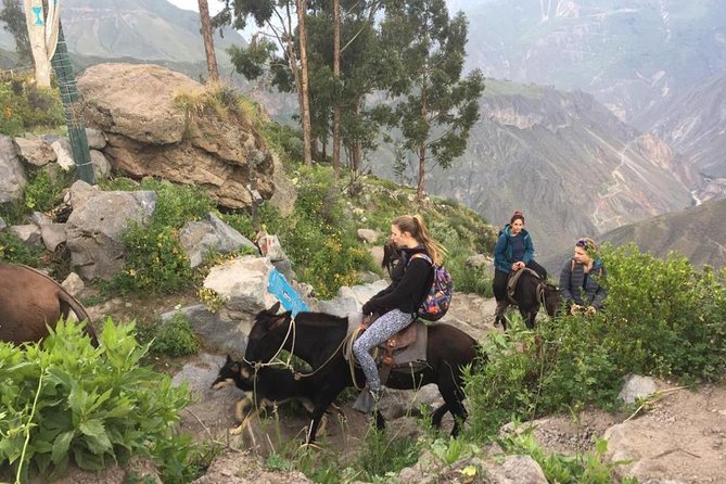 2 Day Trek Including Transfer to Puno / Colca Canyon - The road from Chivay to Puno