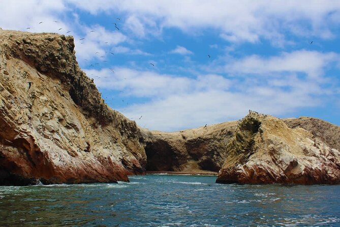 2-Hour Tour to the Ballestas Islands from Puerto San Martín - Is $49 a fair price for two hours?