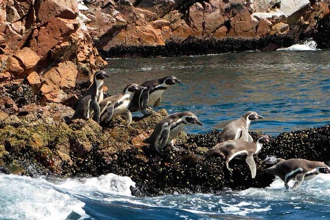 2-Hour Tour to the Ballestas Islands from Puerto San Martín - The 10-minute run to the Paracas Candelabra