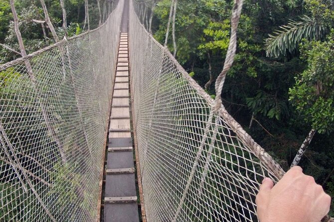 3-Day All Inclusive Guided Jungle Tour from Iquitos at Maniti Eco-Lodge - A final jungle hike and the return to Iquitos