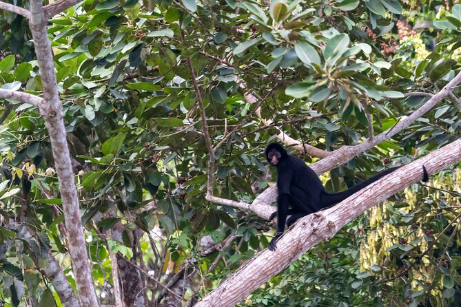 3-Day Eco-Sustainable Private Tour Manu National Park - What the guides add to the experience