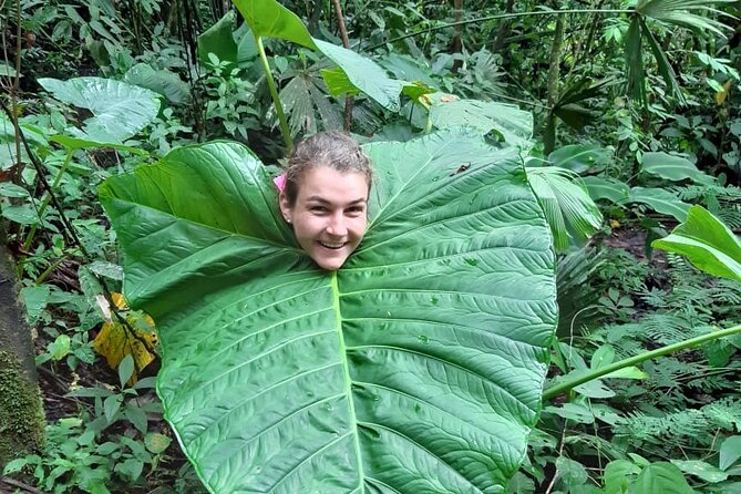 3-Day Eco-Sustainable Private Tour Manu National Park - Lodging, meals, and useful equipment