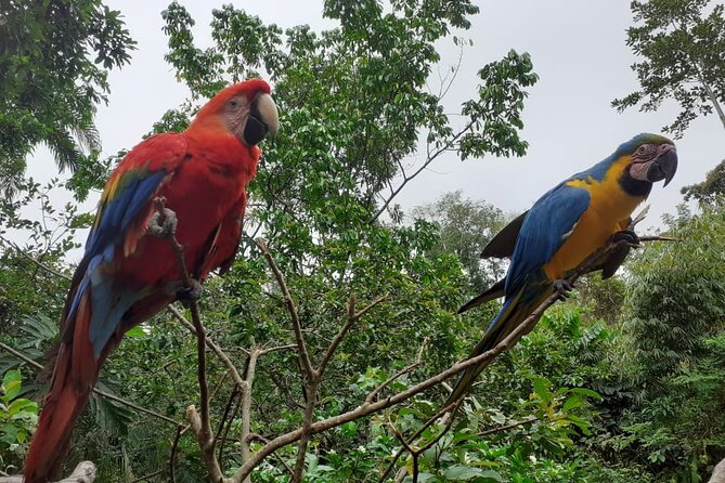 3-Day Eco-Sustainable Private Tour Manu National Park - Is $389 a fair price?