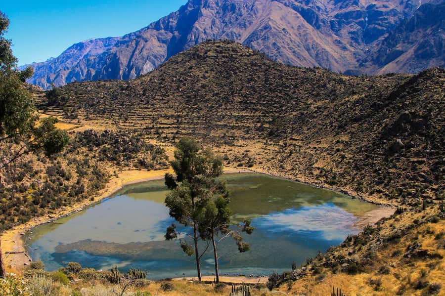 3-day trek to the Colca Canyon from Arequipa ending in Puno - The 3:00 a.m. road to Cruz del Cóndor