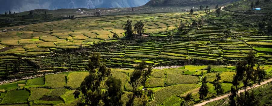 3-day trek to the Colca Canyon from Arequipa ending in Puno - What to pack for the canyon and bus ride