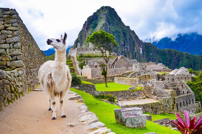4-Day Excursion to MachuPicchu & Rainbow Mountain & City tour || All Included || - Day 3: Machu Picchu by train and bus