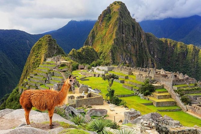 4-Day Excursion to MachuPicchu & Rainbow Mountain & City tour || All Included || - The hotel question and daily support
