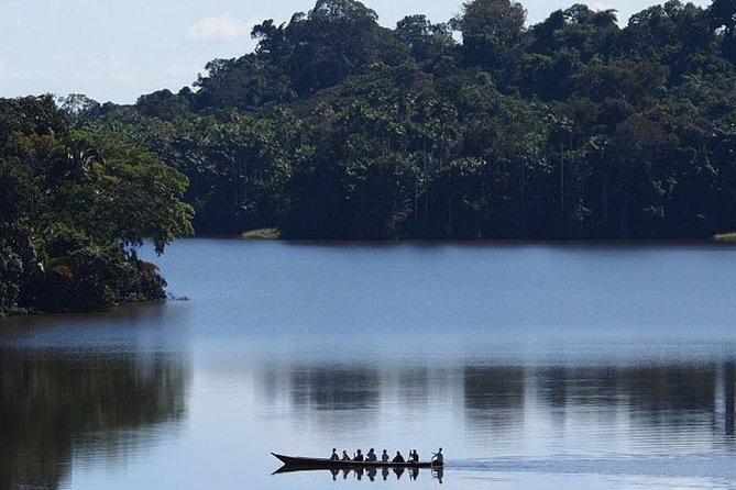 4 Day Tambopata Amazon Wildlife & Canopy Experience - Day three: piranhas and a dose of adrenaline
