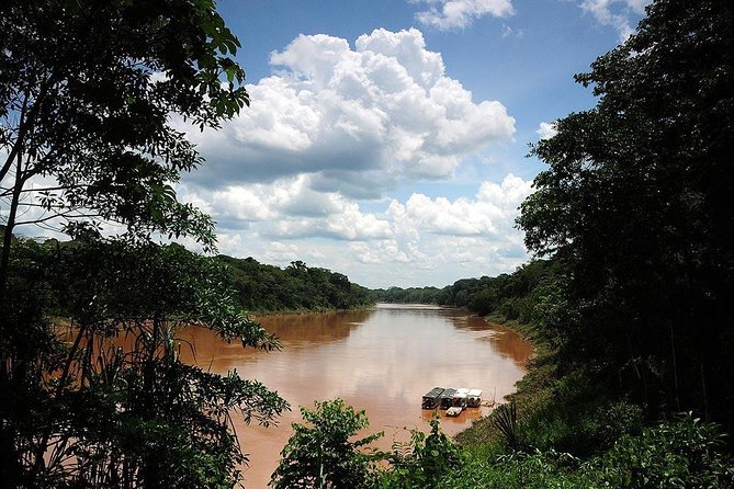 4 Day Tambopata Amazon Wildlife & Canopy Experience - Day four: parrots, local life, and the route back