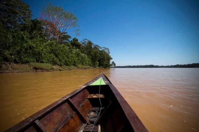 4 Day Tambopata Amazon Wildlife & Canopy Experience - Who should book this Tambopata program?