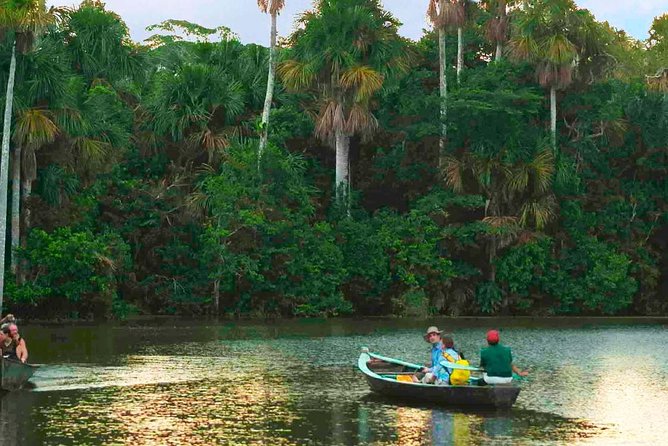 4 Day Tambopata Amazon Wildlife & Canopy Experience - Day two: canopy views and Sandoval Lake