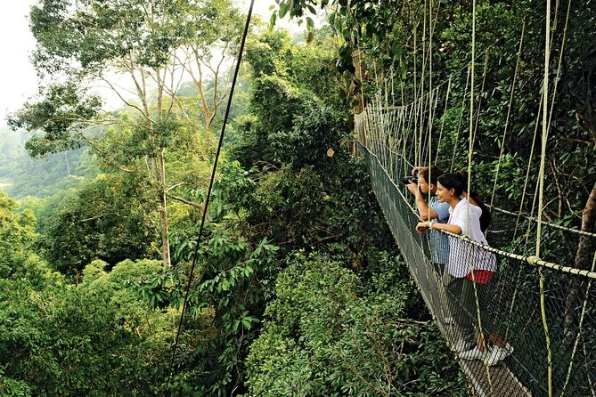 4 Day Tambopata Jungle Tour with Local Guide - Why four days works well in Tambopata