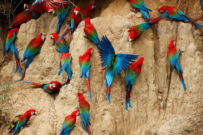4 Day Tambopata Jungle Tour with Local Guide - Day three: local art, fishing, and a slower afternoon