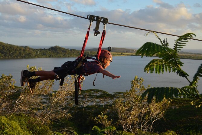 4 Day Tambopata Jungle Tour with Local Guide - Day four: sunrise at the parrot clay lick