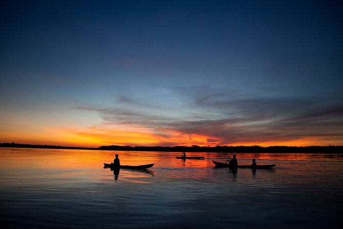 4 Day Tambopata Jungle Tour with Local Guide - Guide quality and wildlife ethics