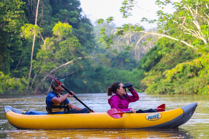 4 Day Tambopata Jungle Tour with Local Guide - Day one: canopy views, a 190-meter zip line, and Monkey Island