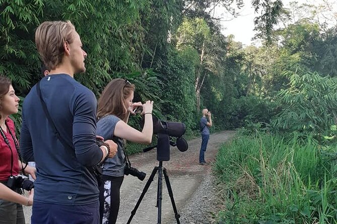 4 Day Tour to the Manu National Park - Day three: clay licks, forest walks, and a zipline