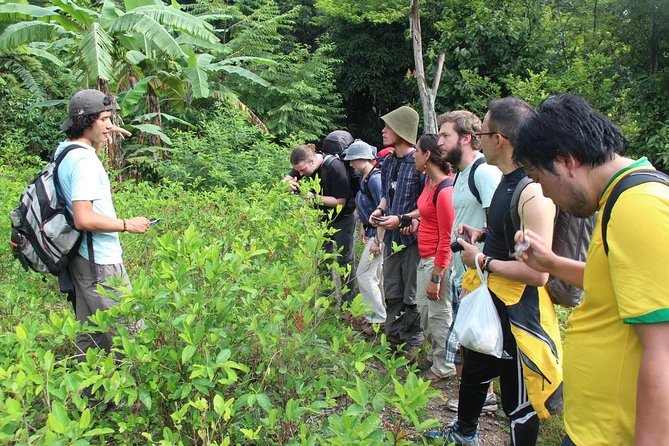 4 Days Inca Jungle to Machu Picchu Standard - Day 3: Zipline or hiking, then the long walk to Aguas Calientes