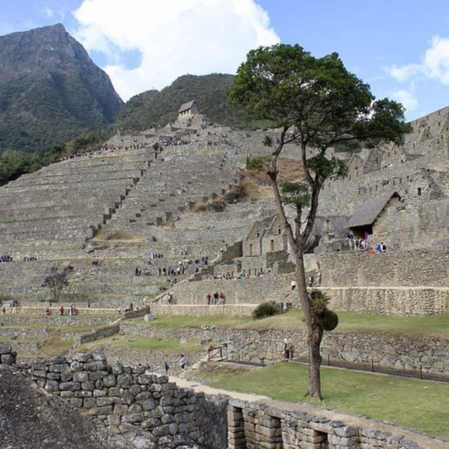 5-Day Classic Salkantay Trek to Machu Picchu return by Train - Day three: From mountain air into the jungle