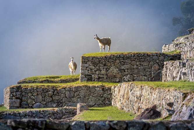 5 Day - Tour to Machu Picchu Traditional - Group service - Day 4: Machu Picchu before breakfast crowds build