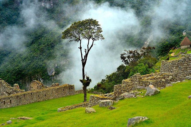 6-Day Cultural Tour to Machu Picchu - Guides, Group Size, and the Feel of the Tour