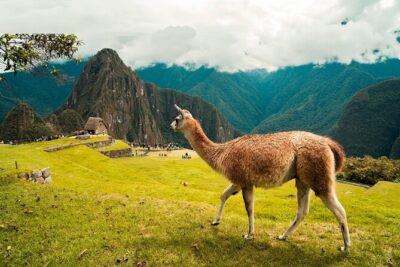 6-Day Tour of Cusco Magico-Machu Picchu-Rainbow Mountain
