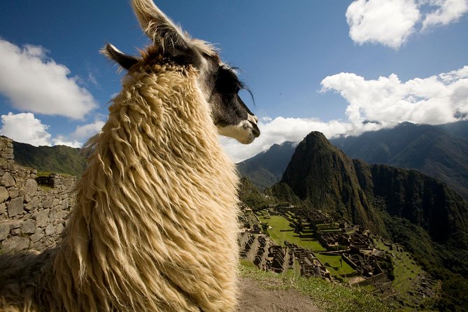 7 Day Peru Private Journey - Day 5: Moray, Maras, and Ollantaytambo