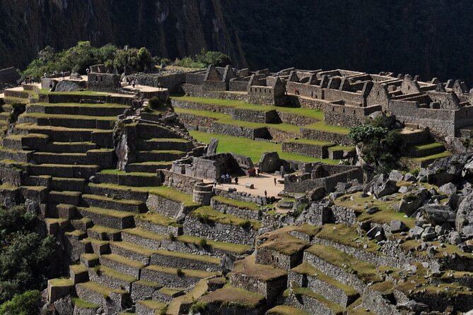 8-Day Enigmas of Peru - Ballestas Islands bring wildlife into the desert route