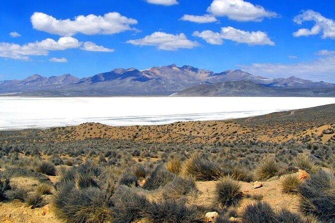 8-Hours Tour in Arequipa Laguna de Salinas with Pick-up - Guide quality can shape the entire day