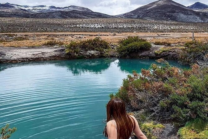 8-Hours Tour in Arequipa Laguna de Salinas with Pick-up - Food, fees, and the real value of $30