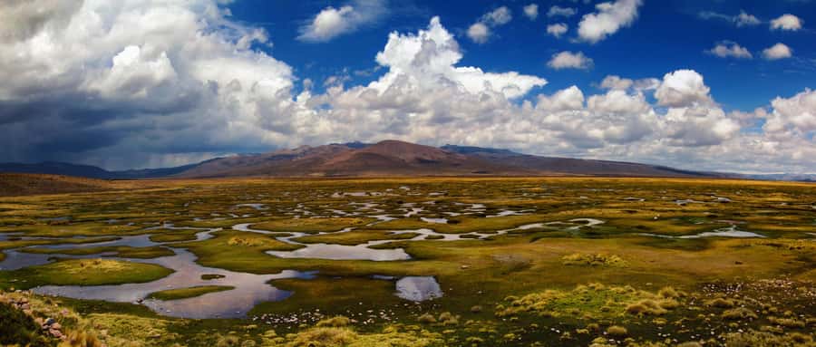Adventure Day in Arequipa: Pillones Waterfall + Rock Forest - Puruña Stone Forest and its strange shapes
