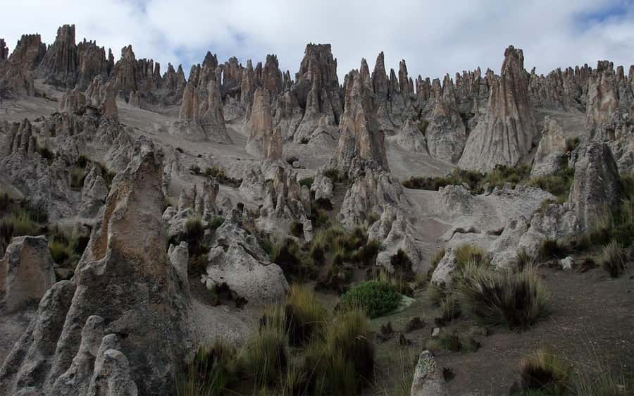 Adventure Day in Arequipa: Pillones Waterfall + Rock Forest - Who will enjoy this outing most