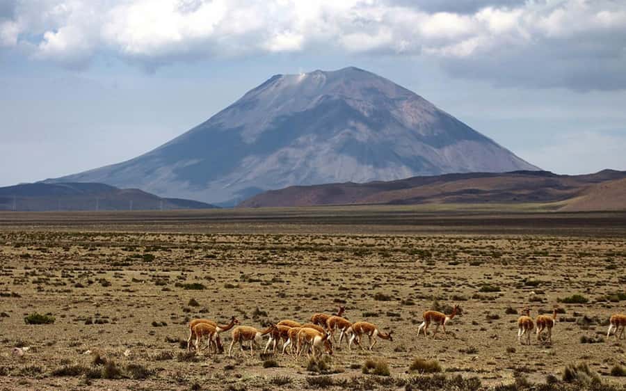 Adventure Day in Arequipa: Pillones Waterfall + Rock Forest - Practical advice before you go
