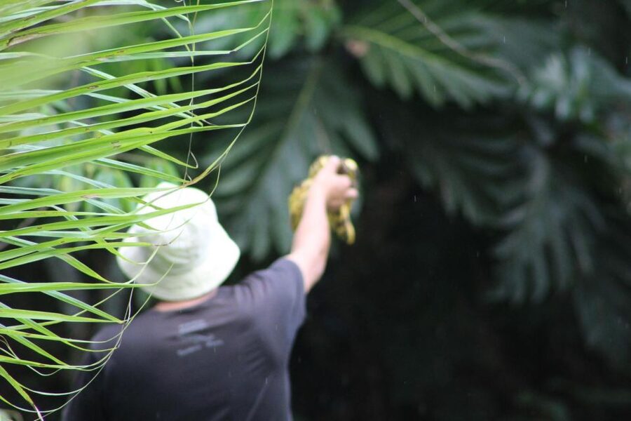 Amazonian Adventure 3 Days: Exploring the Jungle from Cusco - Machuhuasi Oxbow Lake by boat and forest trail