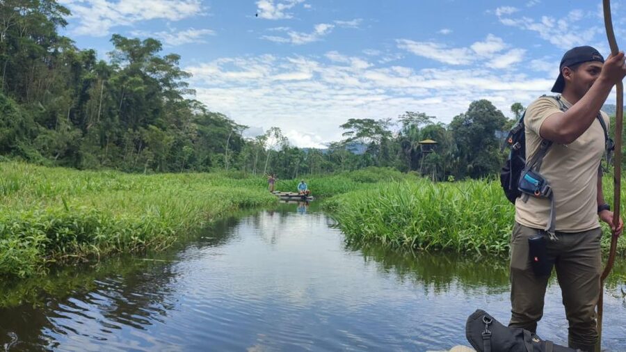 Amazonian Adventure 3 Days: Exploring the Jungle from Cusco - Who will enjoy this Manu trip most?