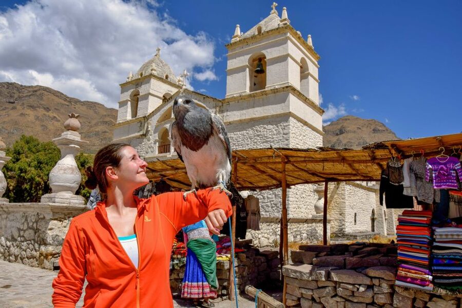 Andes: Colca Canyon Day-Trip - The 2:30 AM start from Arequipa