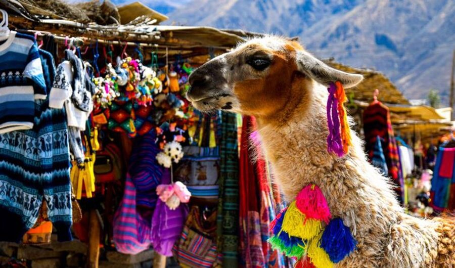 Andes: Colca Canyon Day-Trip - Waiting for condors at Cruz del Condor